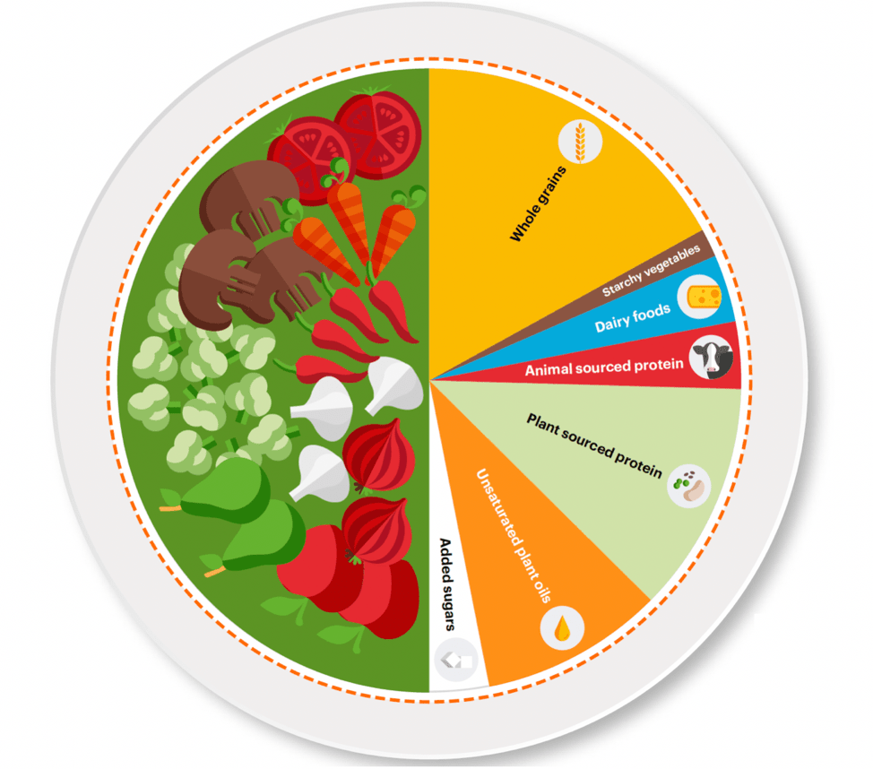 EAT-Lancet Commission Plant-Based Food Diet Recommendations