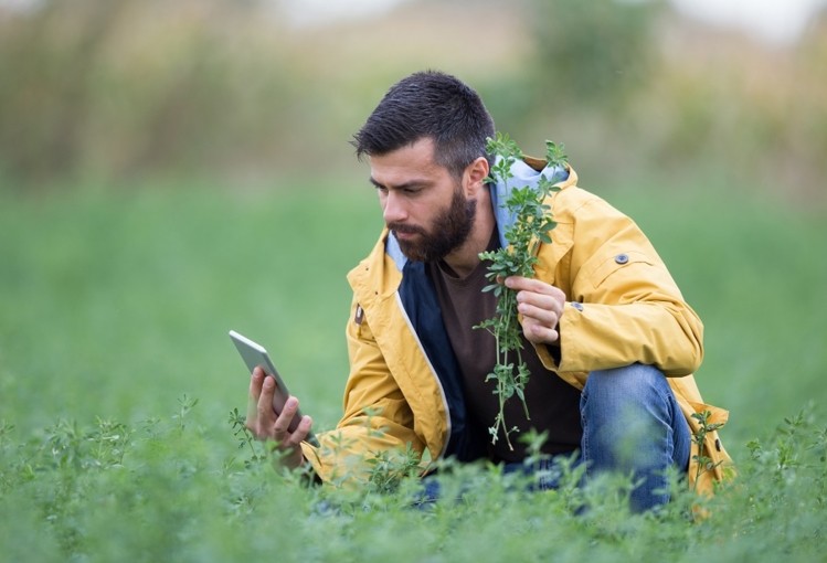 IFT Magazine Hemp Ingredients